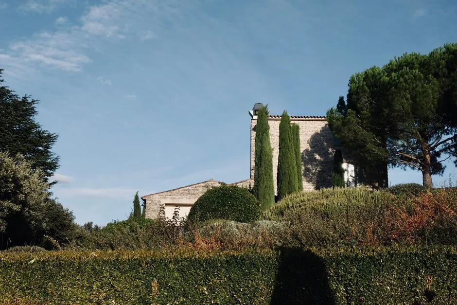 Pelouse entretenue et tondue, jardin Provence