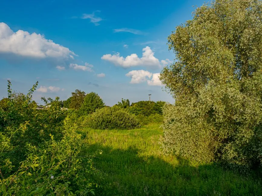 Massifs végétaux et jardin paysager Camargue